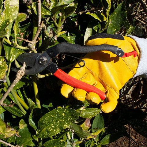 Town & Country Gardening Gloves Town & Country Thermal Comfort Fit Leather Gloves Small
