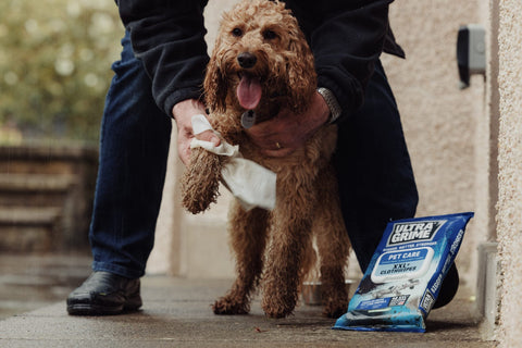 UltraGrime Garden Cleaning UltraGrime Pet Care Clothwipes