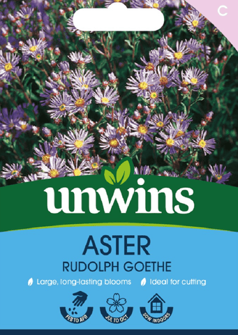 Unwins Seeds Unwins Aster Rudolph Goethe Seeds