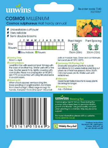 Unwins Seeds Unwins Cosmos Millenium Seeds