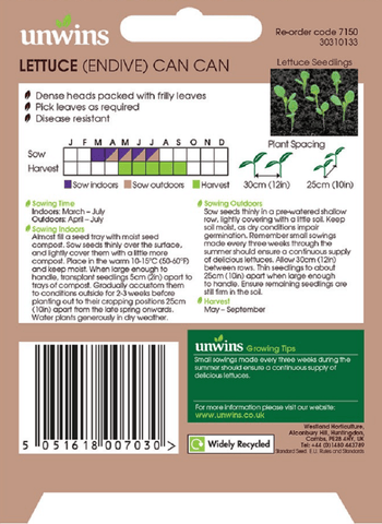 Unwins Seeds Unwins Endive Can Can Lettuce Seeds