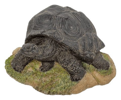 Vivid Arts Ornaments Decor Vivid Arts Crawling Tortoise Magnet