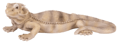 Vivid Arts Indoor & Outdoor Ornaments Vivid Arts Pet Pal Bearded Dragon Lizard