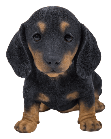 Vivid Arts Indoor & Outdoor Ornaments Vivid Arts Pet Pal Black and Brown Dachshund Puppy