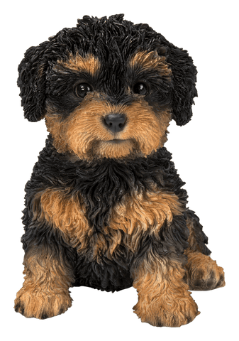 Euphorbia Obesa ORANGE WITH RED SPOTS OY2 - - Pianta A Palla | Pianta - Foto 5