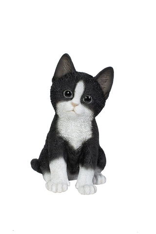 Vivid Arts Indoor & Outdoor Ornaments Vivid Arts Pet Pal Black and White Kitten