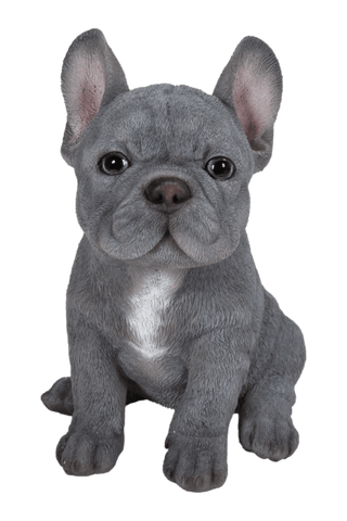 Vivid Arts Indoor & Outdoor Ornaments Vivid Arts Pet Pal Blue French Bulldog Puppy