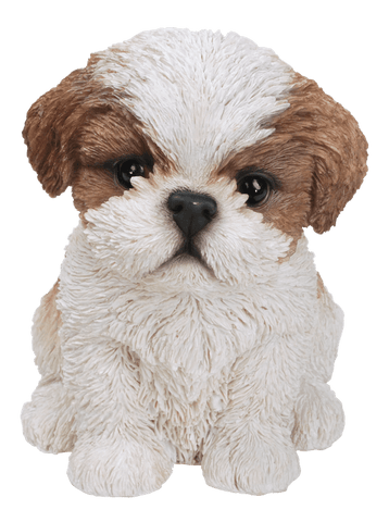 Vivid Arts Indoor & Outdoor Ornaments Vivid Arts Pet Pal Brown Shih-Tzu Puppy