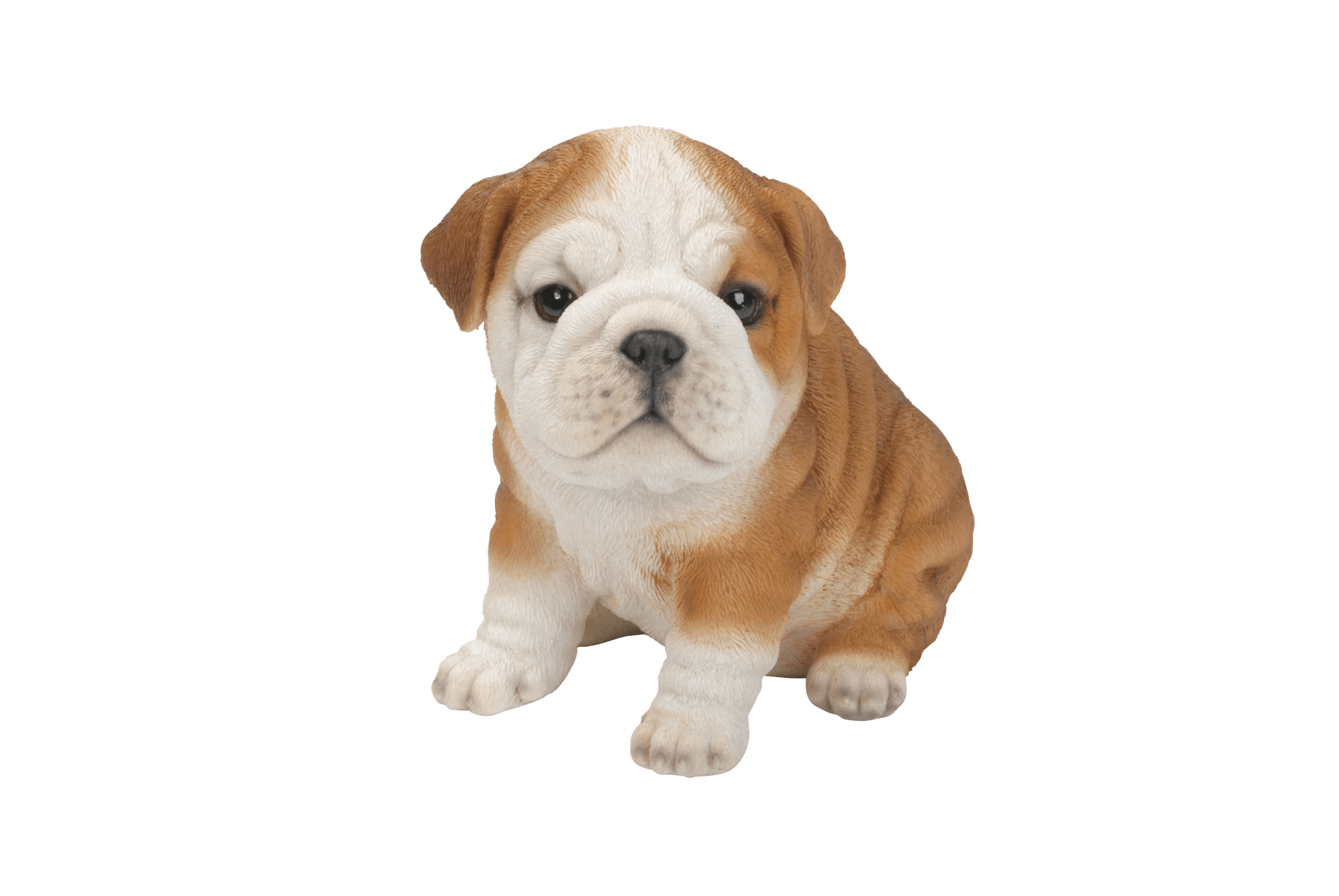 Vivid Arts Indoor & Outdoor Ornaments Vivid Arts Pet Pal Bulldog Puppy