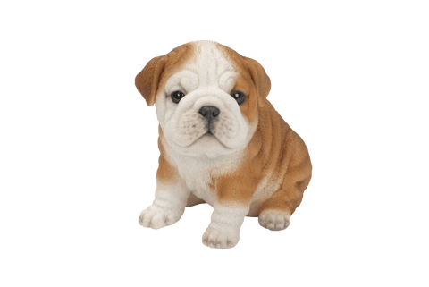 Vivid Arts Indoor & Outdoor Ornaments Vivid Arts Pet Pal Bulldog Puppy
