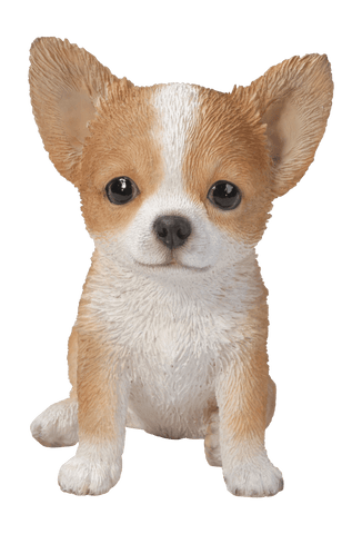 Vivid Arts Indoor & Outdoor Ornaments Vivid Arts Pet Pal Chihuahua Puppy