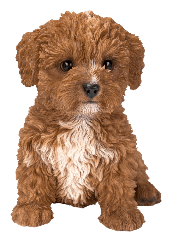 Vivid Arts Indoor & Outdoor Ornaments Vivid Arts Pet Pal Chocolate Cavapoo Puppy
