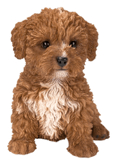 Vivid Arts Indoor & Outdoor Ornaments Vivid Arts Pet Pal Chocolate Cavapoo Puppy
