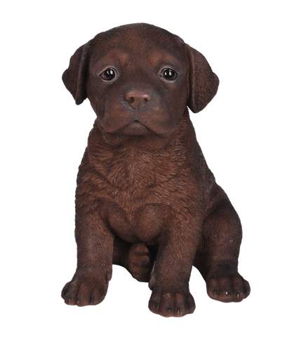 Vivid Arts Indoor & Outdoor Ornaments Vivid Arts Pet Pal Chocolate Labrador Puppy