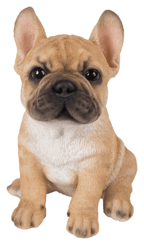 Vivid Arts Indoor & Outdoor Ornaments Vivid Arts Pet Pal French Bulldog Puppy