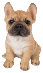 Vivid Arts Indoor & Outdoor Ornaments Vivid Arts Pet Pal French Bulldog Puppy