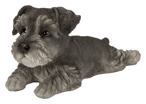 Vivid Arts Indoor & Outdoor Ornaments Vivid Arts Pet Pal Laying Schnauzer Puppy