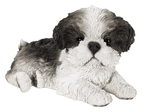 Vivid Arts Indoor & Outdoor Ornaments Vivid Arts Pet Pal Laying Shih-Tzu Black and White Puppy (no sku)