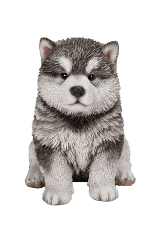 Vivid Arts Indoor & Outdoor Ornaments Vivid Arts Pet Pal Malamute Puppy