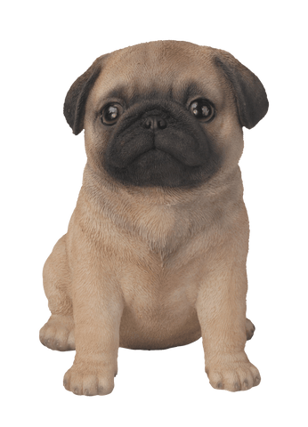 Vivid Arts Indoor & Outdoor Ornaments Vivid Arts Pet Pal Pug Puppy