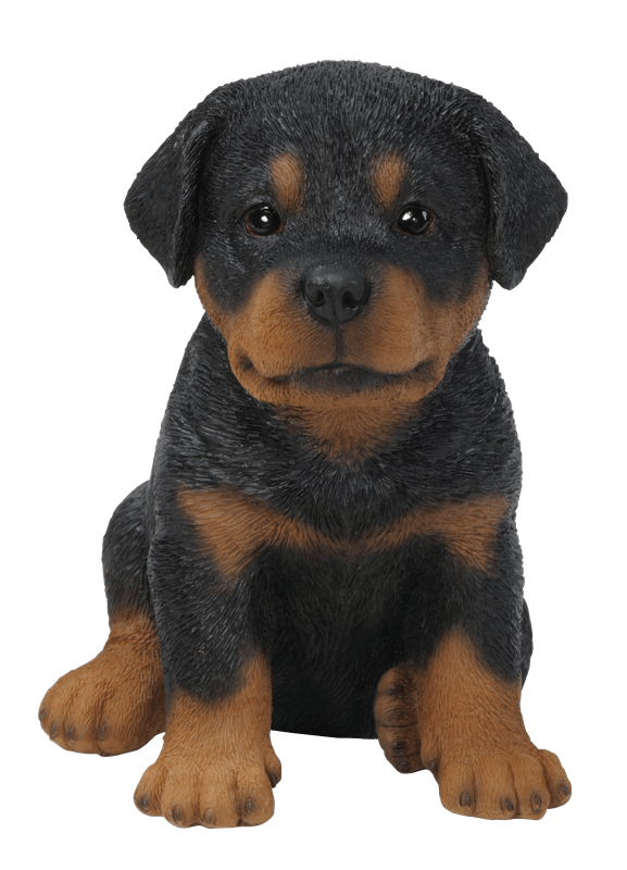 Vivid Arts Indoor & Outdoor Ornaments Vivid Arts Pet Pal Rottweiler Puppy