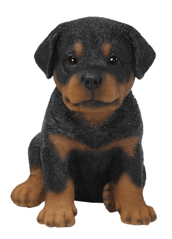 Vivid Arts Indoor & Outdoor Ornaments Vivid Arts Pet Pal Rottweiler Puppy
