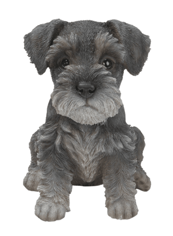 Vivid Arts Indoor & Outdoor Ornaments Vivid Arts Pet Pal Schnauzer Puppy