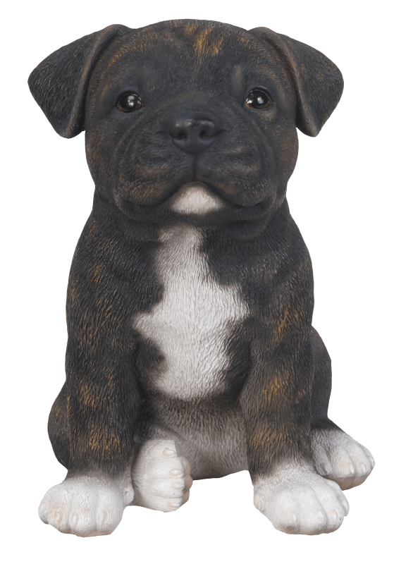 Vivid Arts Indoor & Outdoor Ornaments Vivid Arts Pet Pal Staffordshire Bull Terrier Puppy