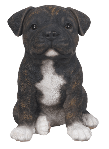 Vivid Arts Indoor & Outdoor Ornaments Vivid Arts Pet Pal Staffordshire Bull Terrier Puppy