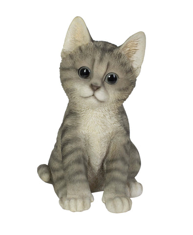 Vivid Arts Indoor & Outdoor Ornaments Vivid Arts Pet Pal Tabby Kitten