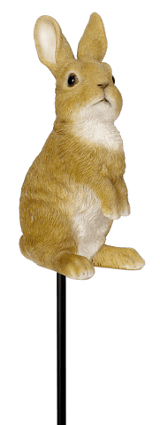 Vivid Arts Indoor & Outdoor Ornaments Vivid Arts Plant Pal Look out Rabbit