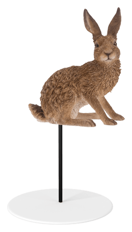 Vivid Arts Indoor & Outdoor Ornaments Vivid Arts Plant Pal Sitting Hare