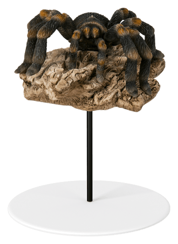 Vivid Arts Indoor & Outdoor Ornaments Vivid Arts Plant Pal Tarantula on Log