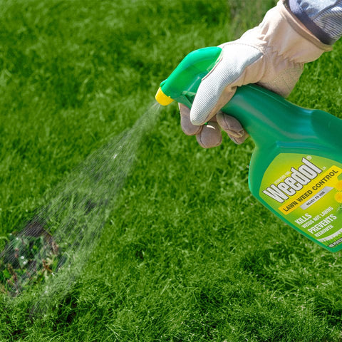 Weedol Lawn Weed Control Weedol Lawn Weedkiller 800ml