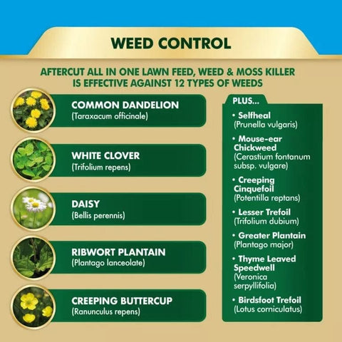 Westland Horticulture Lawn Feed & Weed Westland Aftercut All In One 350m² Bag