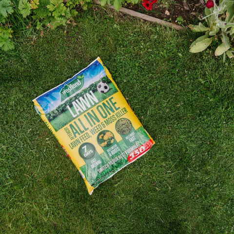 Westland Horticulture Lawn Feed & Weed Westland Aftercut All In One 350m² Bag