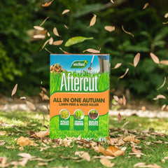 Westland Aftercut Autumn Lawn Care 80 sqm