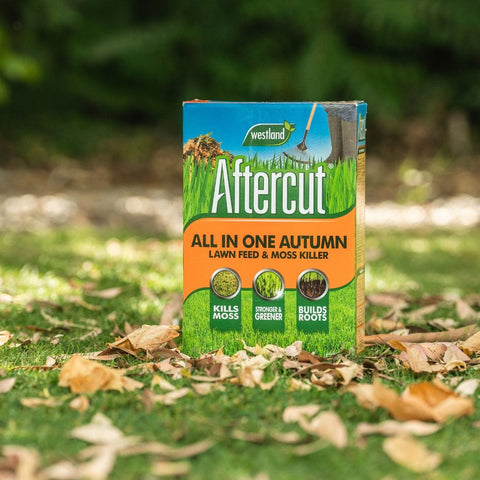 Westland Aftercut Autumn Lawn Care 80 sqm