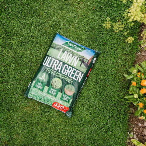 Westland Horticulture Lawn Feed Westland Aftercut Ultra Green 350m²