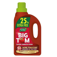 Westland Horticulture Garden Plant Feeds Westland Big Tom Super Tomato Food 1L + 25% extra free