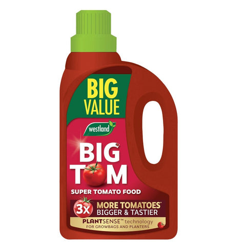 Westland Horticulture Tomato Food Westland Big Tom Super Tomato Food 1L + 25% extra free