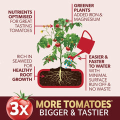 Westland Horticulture Tomato Food Westland Big Tom Super Tomato Food 1L + 25% extra free