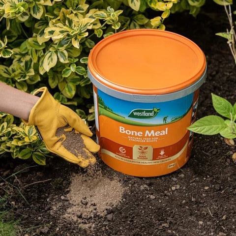 Westland Horticulture Bone Meal Westland Bone Meal 10kg