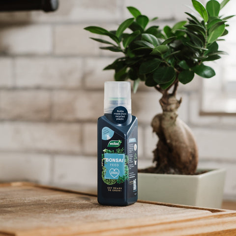 Westland Horticulture Bonsai Feed Westland Bonsai Feed Concentrate 200ml