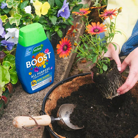 Westland Horticulture Plant Food Westland Boost All Purpose Liquid Plant Feed