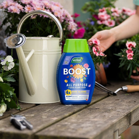 Westland Horticulture Plant Food Westland Boost All Purpose Liquid Plant Feed