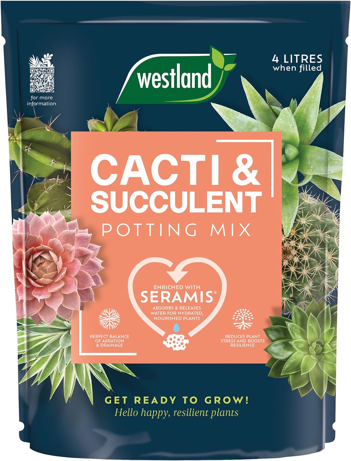 cacti and succulent compost Westland Cacti & Succulent Potting Mix 4L – Trowell Garden Centre