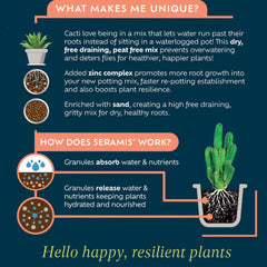 Westland Horticulture Cacti & Succulent Potting Mix Westland Cacti & Succulent Potting Mix 4L