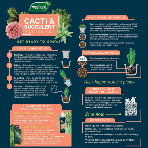 Westland Horticulture Cacti & Succulent Potting Mix Westland Cacti & Succulent Potting Mix 4L