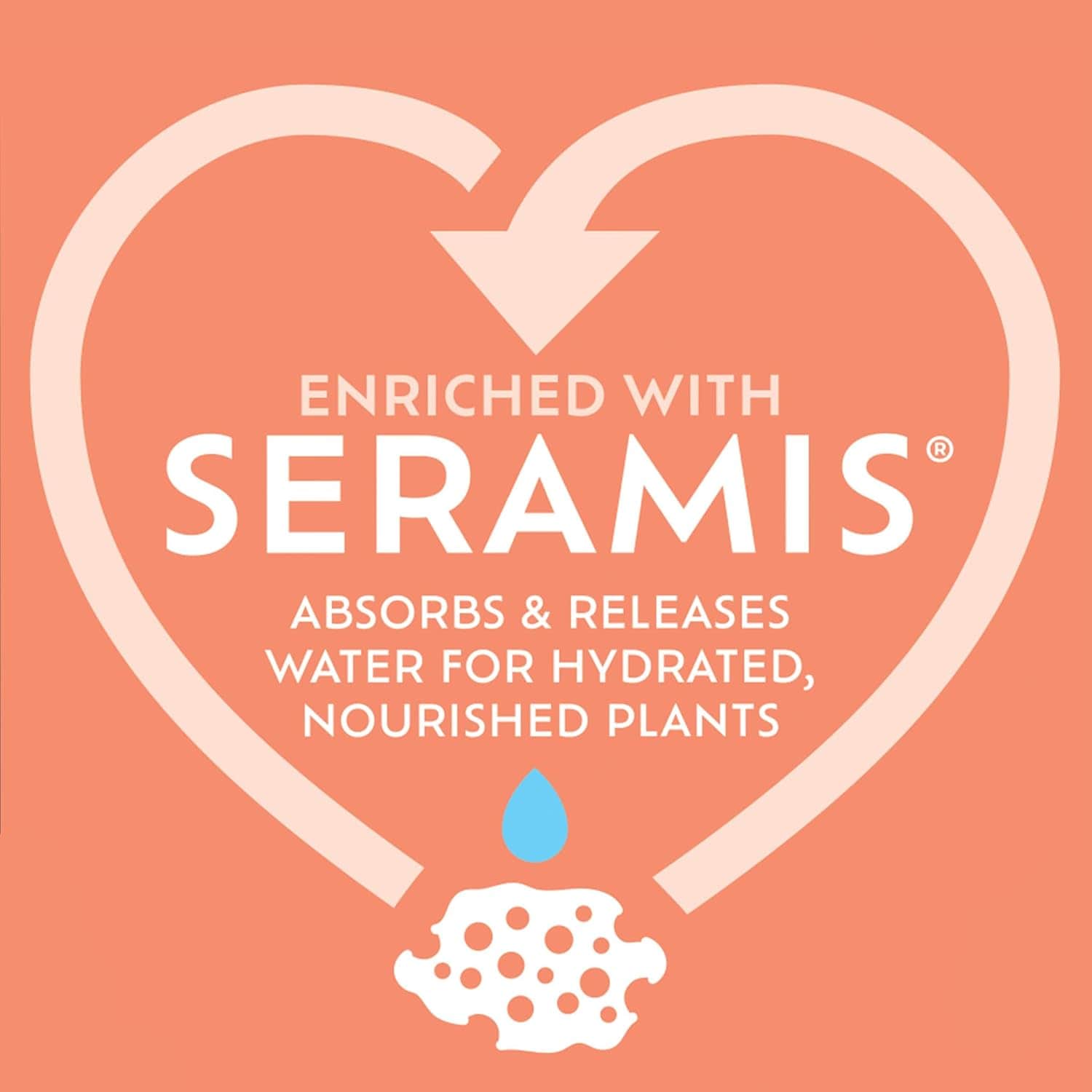 Westland Cacti & Succulent Potting Mix 4L Trowell Garden Centre